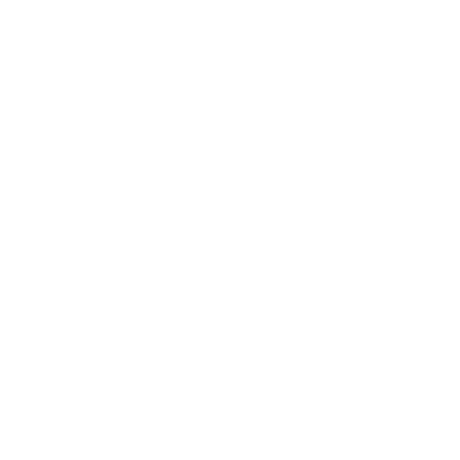 Inicio 17 icon custodia